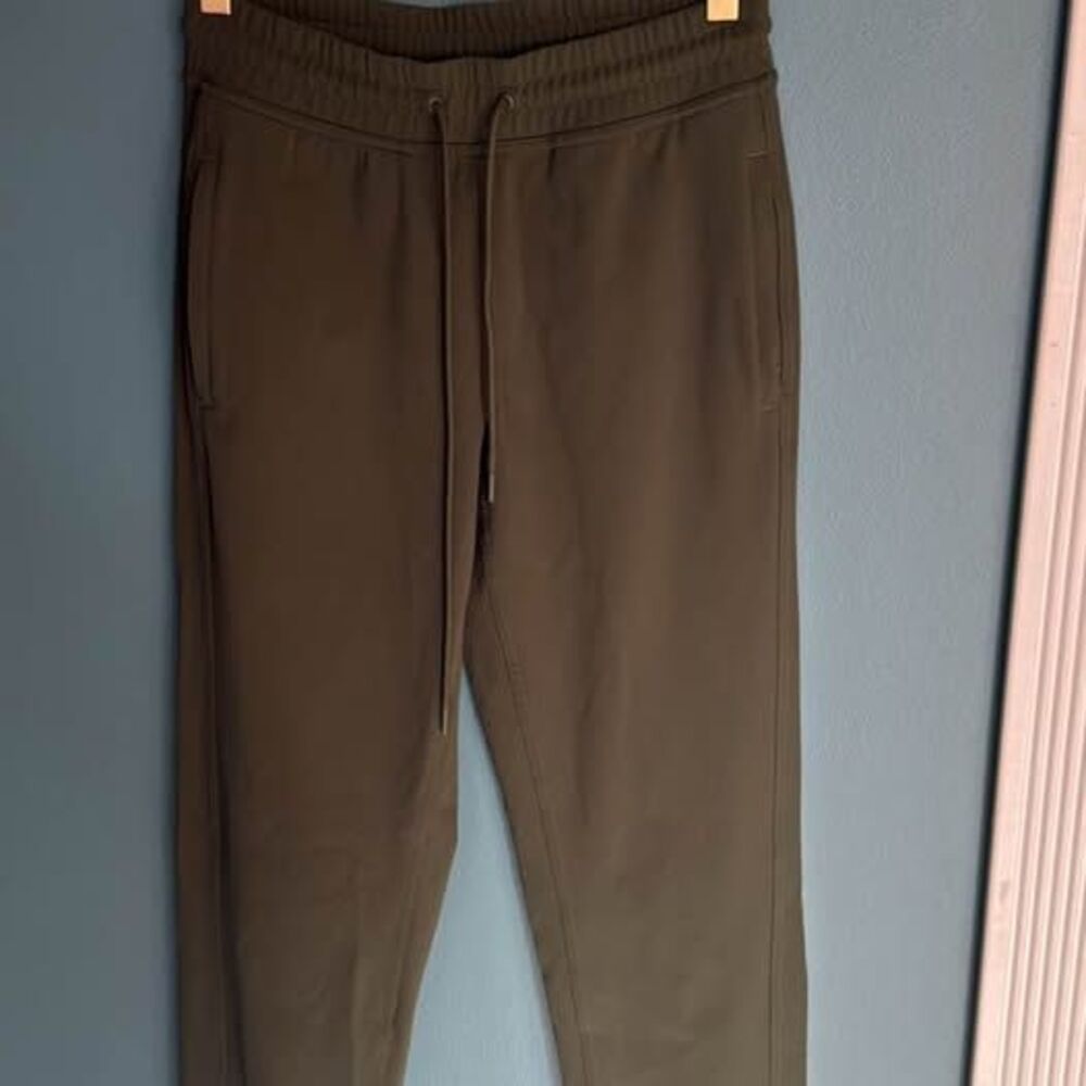 Tna Aritzia joggers